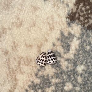 Predrilled Hebrew cone shells